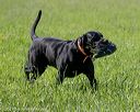 20210605-shl-0883