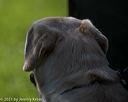 20210605-shl-0941