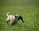 20210605-shl-0944