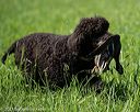 20210605-shl-1021