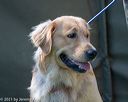 20210605-shl-1204