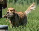 20210605-shl-1269
