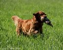 20210605-shl-1288