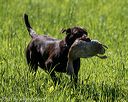 20210605-shl-1353