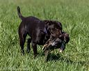 20210605-shl-1447