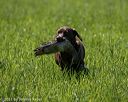 20210605-shl-1457