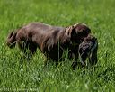 20210605-shl-1465