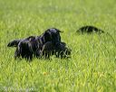 20210605-shl-1665