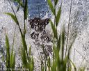 20210605-shw-0647