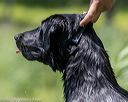 20210605-shw-0996