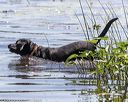 20210605-shw-1647