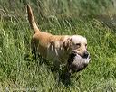 20210605-shw-2144