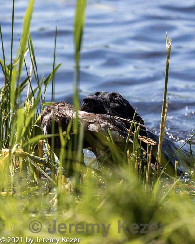 20210605-shw-0617.jpg