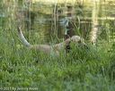 20210606-finw-0186