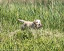 20210606-finw-0249