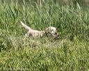20210606-finw-0250