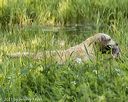 20210606-finw-0255