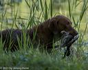 20210606-finw-0462