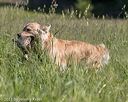 20210606-seal-0233