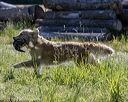 20210606-seal-0264