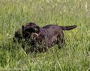 20210606-seal-0400
