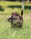 20210606-seal-0523