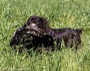 20210606-seal-0764