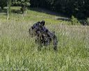 20210606-seal-1156