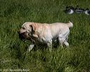 20210606-seal-1407