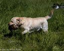 20210606-seal-1410