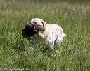 20210606-seal-1429