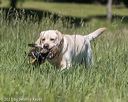 20210606-seal-1456