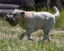 20210606-seal-1488