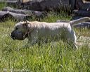 20210606-seal-1502