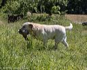 20210606-seal-1528