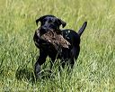 20210606-seal-1580