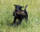 20210606-seal-1582