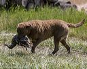 20210606-seal-1790