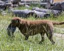 20210606-seal-1792