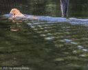 20210606-seaw-0056