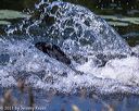 20210606-seaw-0397