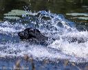 20210606-seaw-0398