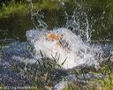 20210606-seaw-0524