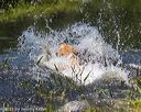 20210606-seaw-0526