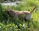20210606-seaw-0606