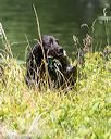 20210606-seaw-0738