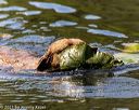 20210606-seaw-1155