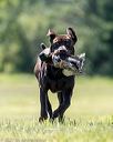 20210724-jhl-0596