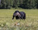 20210724-jhl-2014