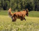 20210724-jhl-2264